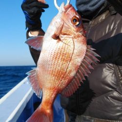 新幸丸 釣果