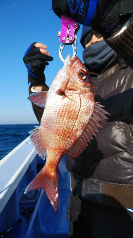 新幸丸 釣果