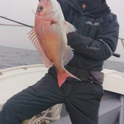 だて丸 釣果