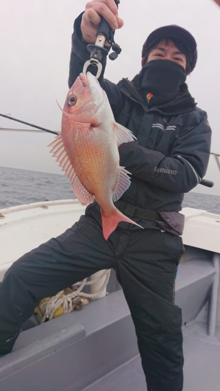 だて丸 釣果