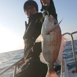 だて丸 釣果