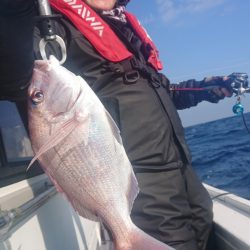 だて丸 釣果