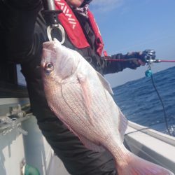 だて丸 釣果