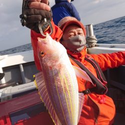 だて丸 釣果