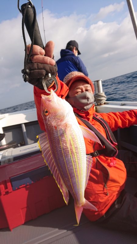 だて丸 釣果