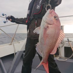 だて丸 釣果