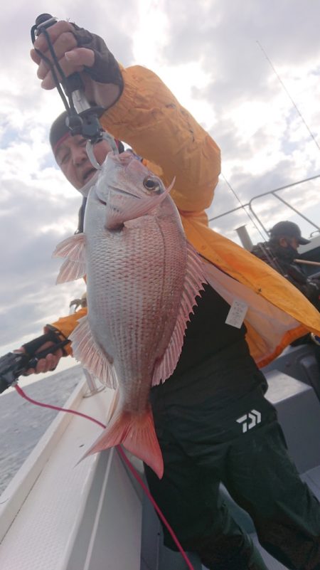 だて丸 釣果