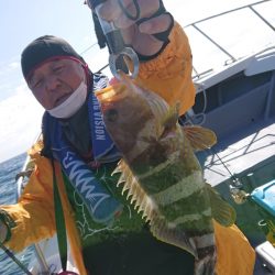 だて丸 釣果