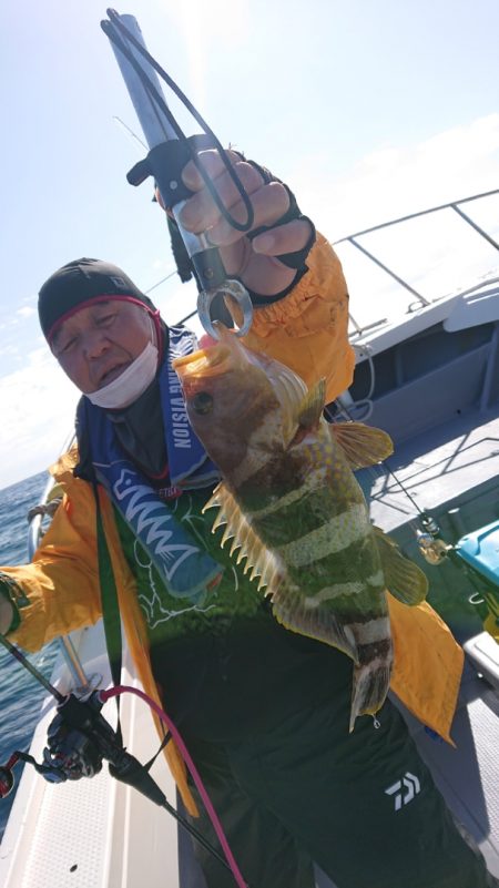 だて丸 釣果