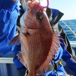 新幸丸 釣果