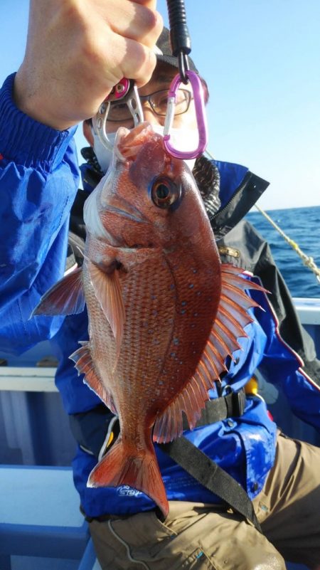 新幸丸 釣果