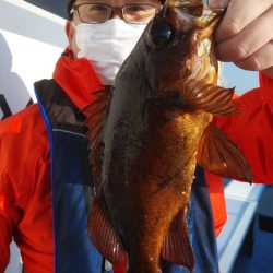 新幸丸 釣果