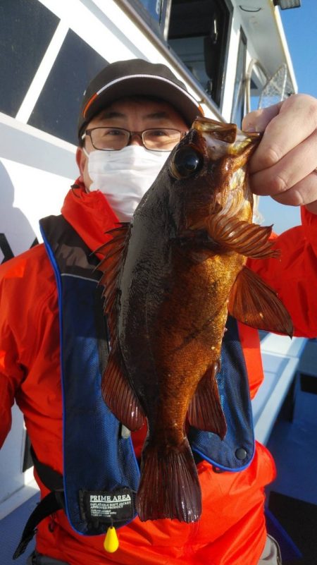 新幸丸 釣果