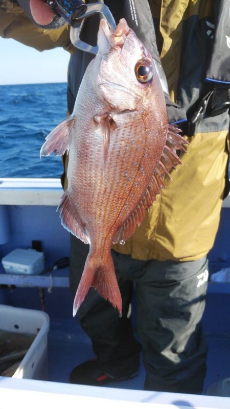 新幸丸 釣果