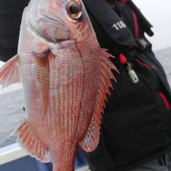 新幸丸 釣果