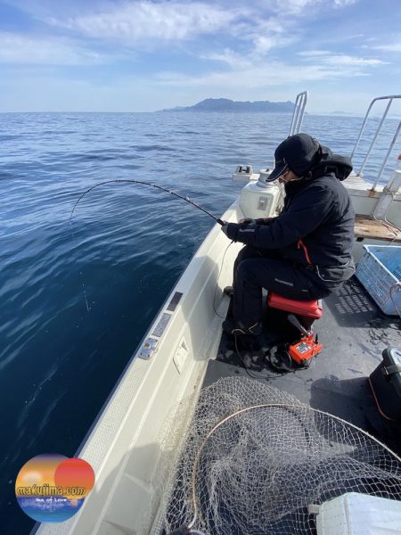 幕島丸 釣果