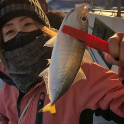 ヤザワ渡船 釣果