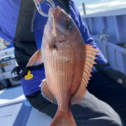 新幸丸 釣果