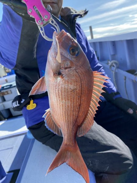 新幸丸 釣果