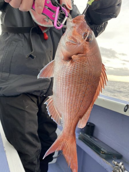 新幸丸 釣果