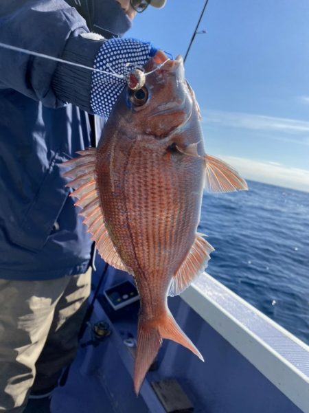 新幸丸 釣果