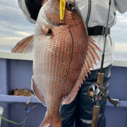 新幸丸 釣果