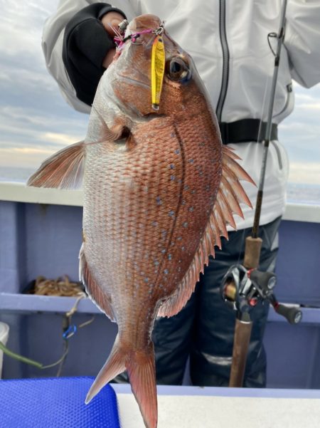 新幸丸 釣果