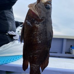 新幸丸 釣果