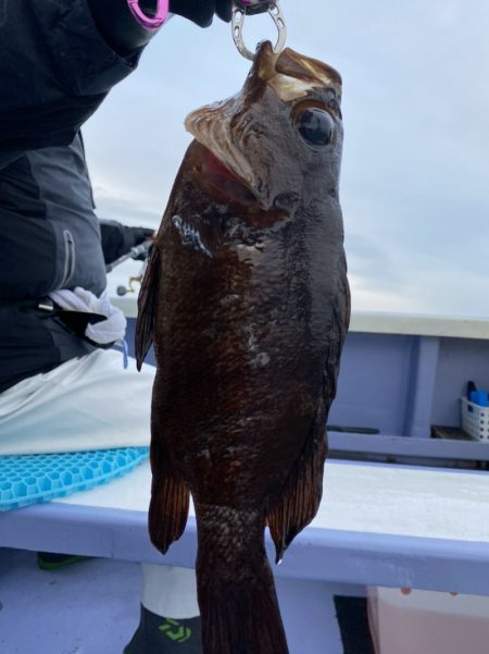 新幸丸 釣果