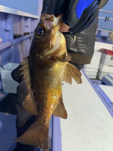 新幸丸 釣果