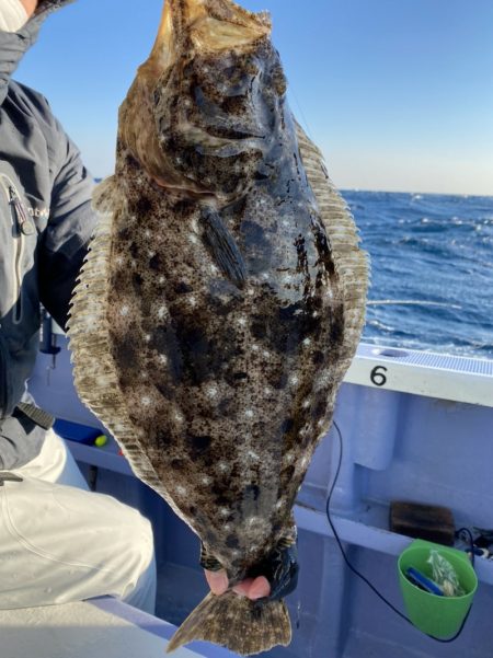 新幸丸 釣果