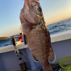 新幸丸 釣果