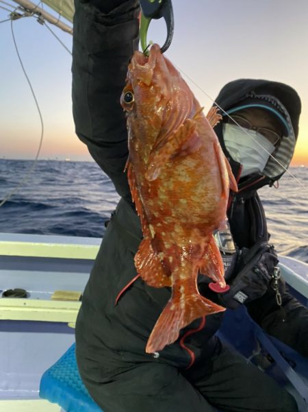 新幸丸 釣果