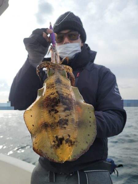 ソルトウォーターガイドフレンズ 釣果