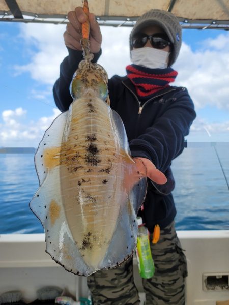 ソルトウォーターガイドフレンズ 釣果