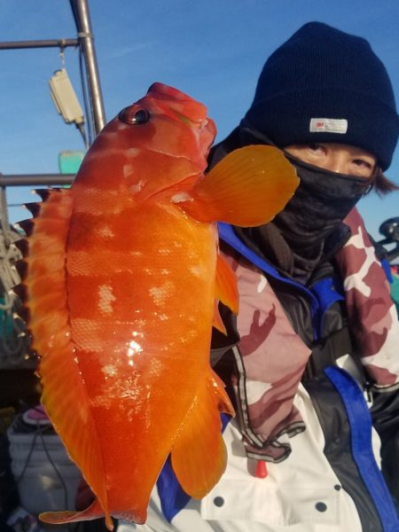 進誠丸 釣果