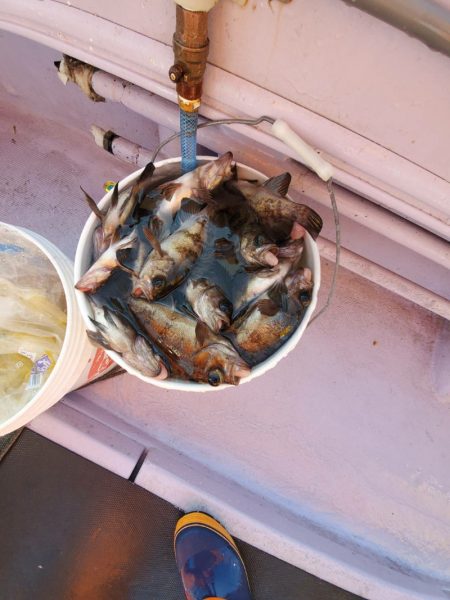 海龍丸（石川） 釣果