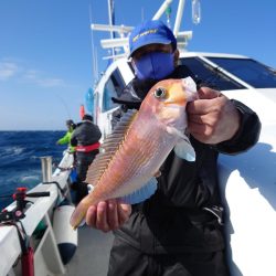 宝生丸 釣果