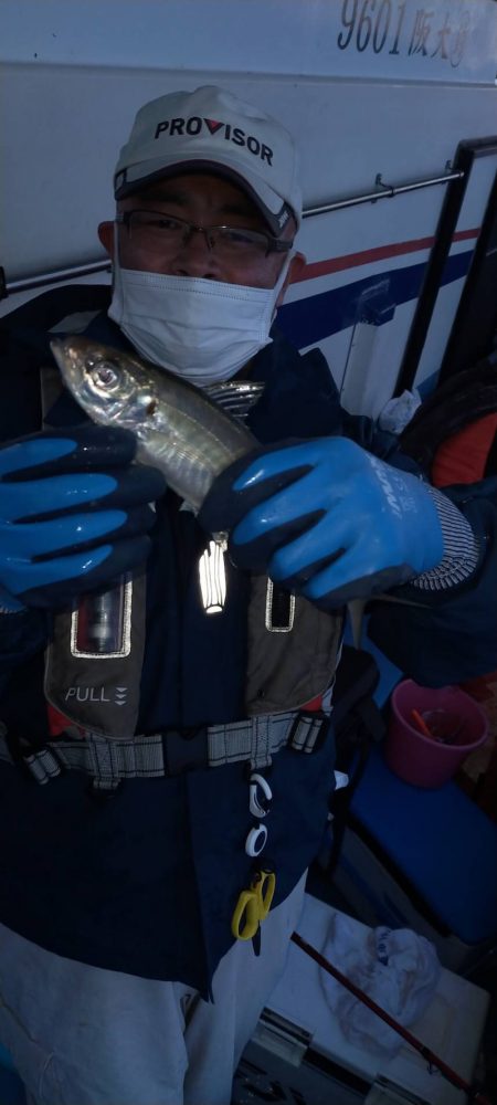 ヤザワ渡船 釣果