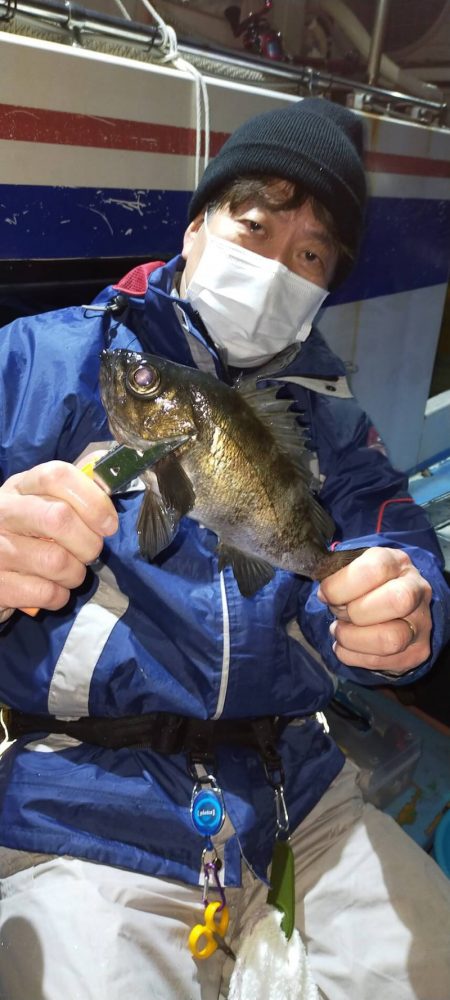 ヤザワ渡船 釣果