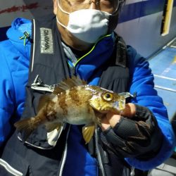 ヤザワ渡船 釣果