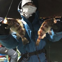 ヤザワ渡船 釣果