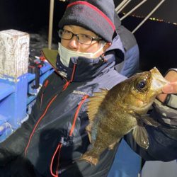 ヤザワ渡船 釣果