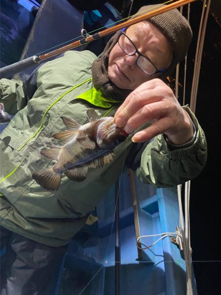 ヤザワ渡船 釣果