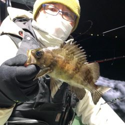 ヤザワ渡船 釣果