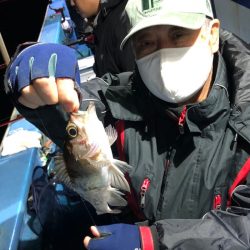 ヤザワ渡船 釣果