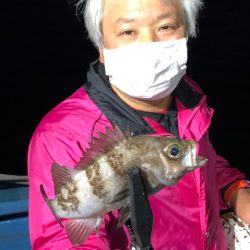 ヤザワ渡船 釣果