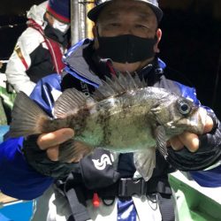 ヤザワ渡船 釣果