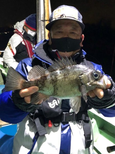 ヤザワ渡船 釣果