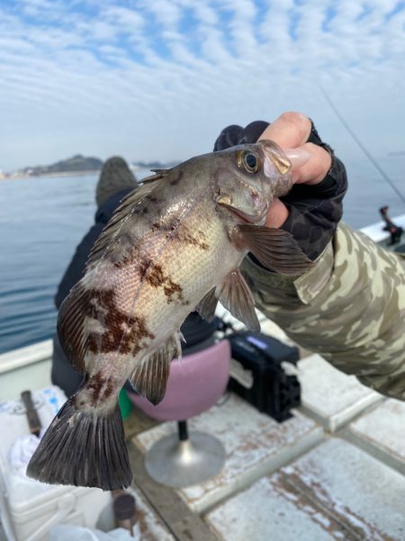 美宝丸 釣果